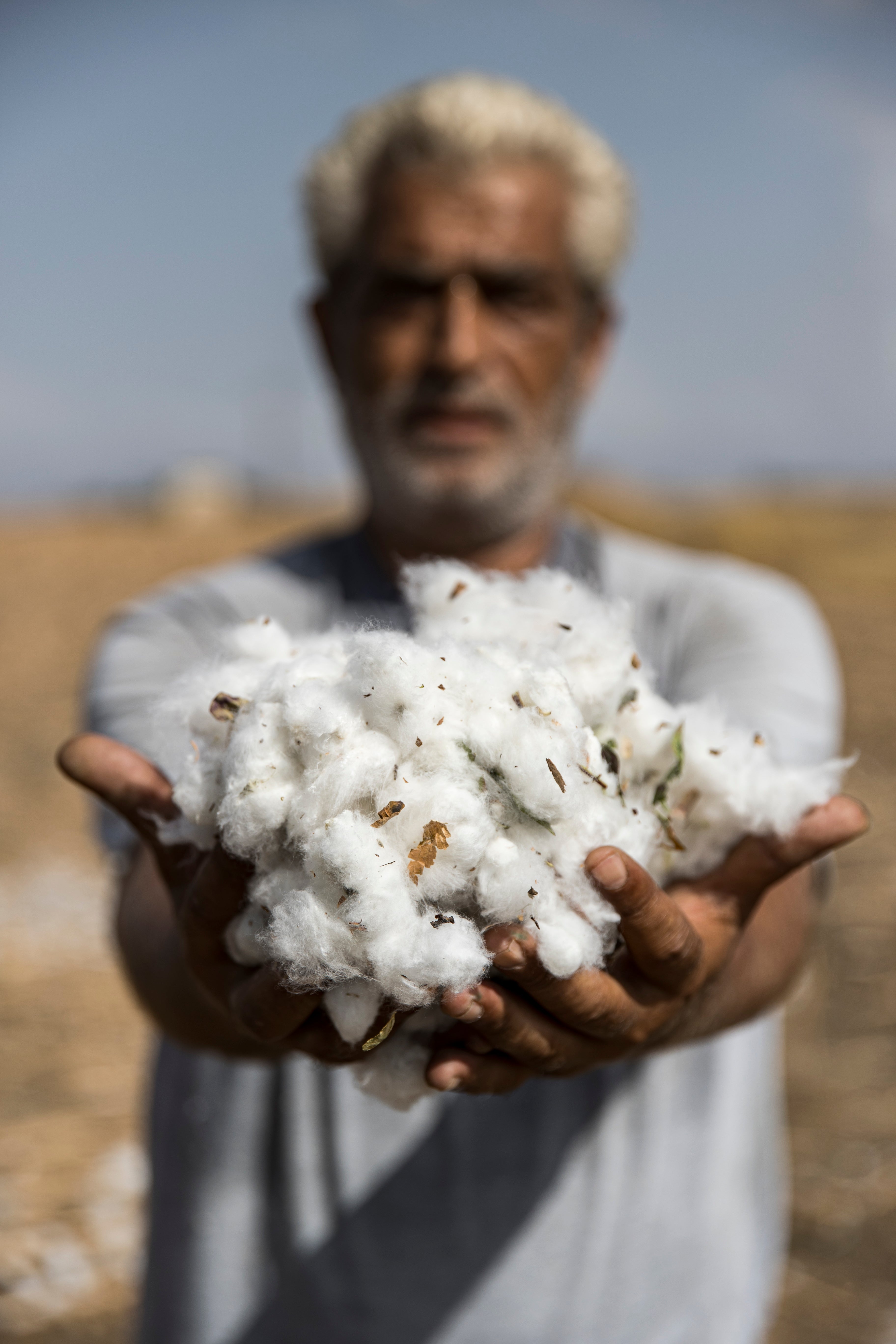 Coton Européen issu d'une coopérative grecque - Galinette en Provence